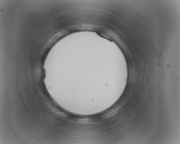 X0000082680309200702232145