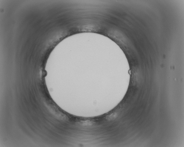 X0000082680310200702232145