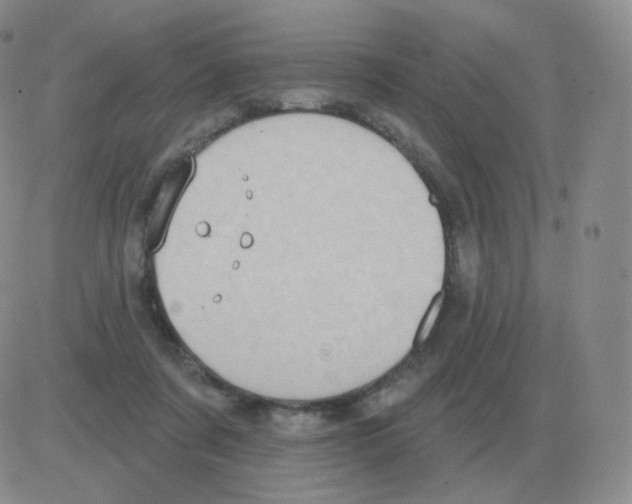 X0000082680311200702232145