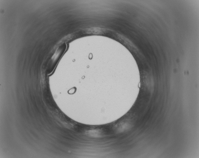 X0000082680312200702232145