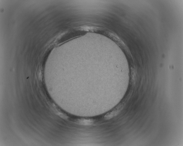 X0000082680313200702232145