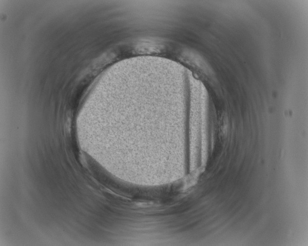 X0000082680315200702232145