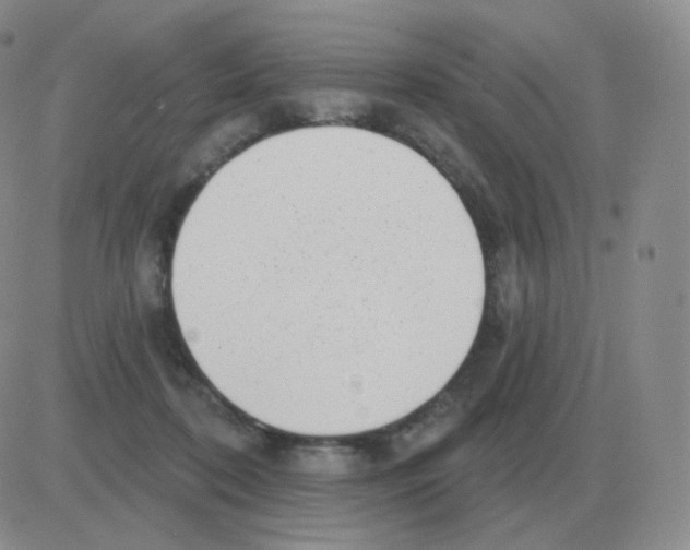 X0000082680316200702232145