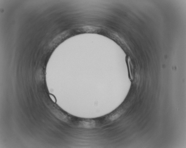 X0000082680317200702232145