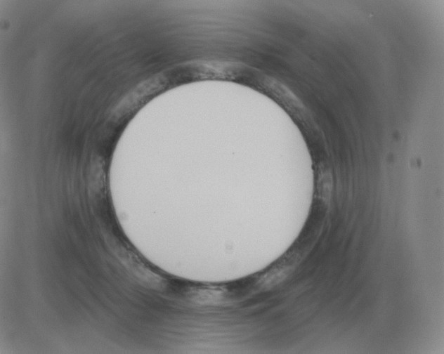 X0000082680318200702232145