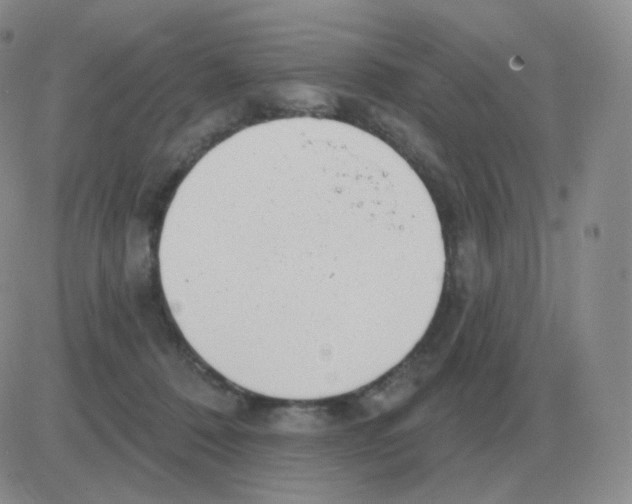 X0000082680320200702232144