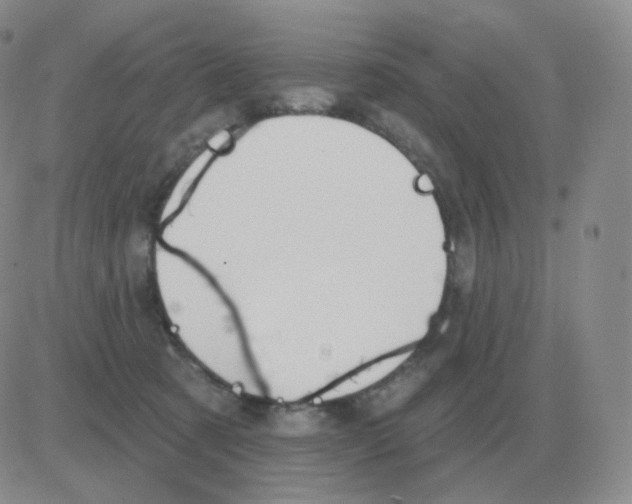 X0000082680321200702232144