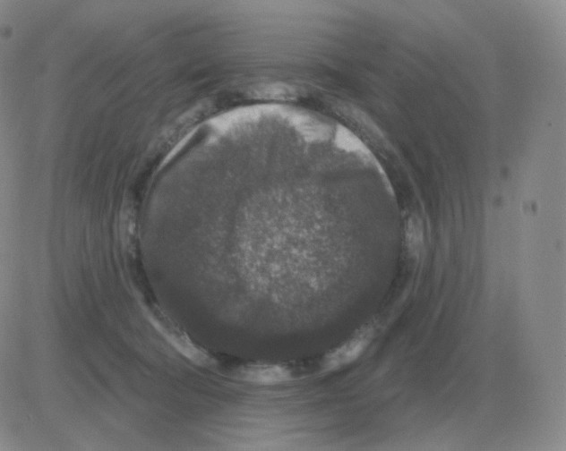 X0000082680322200702232144