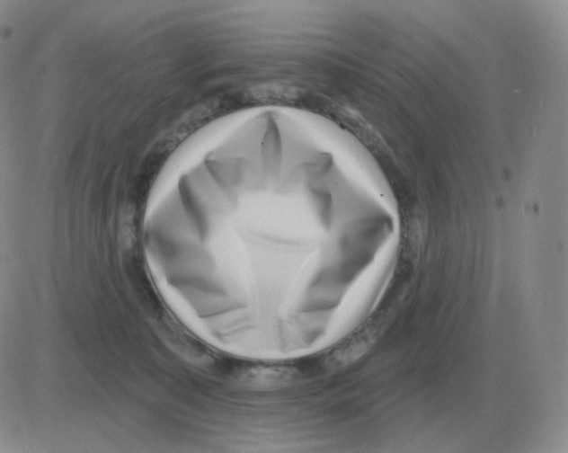 X0000082680323200702232144