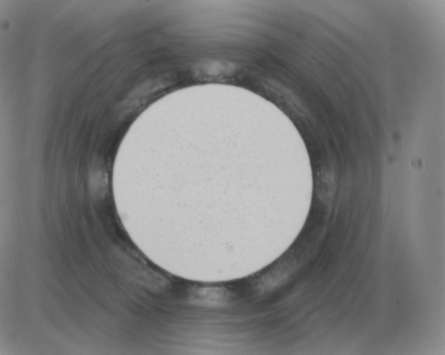 X0000082680324200702232144