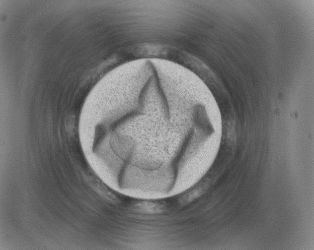 X0000082680326200702232144