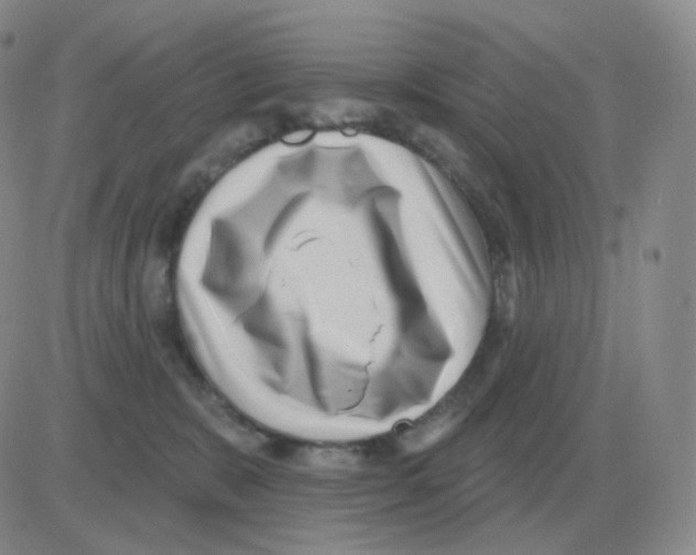 X0000082680327200702232144