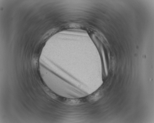 X0000082680329200702232144