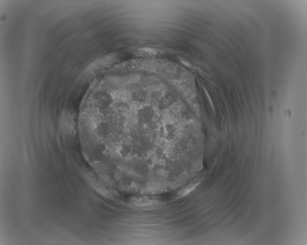 X0000082680331200702232144