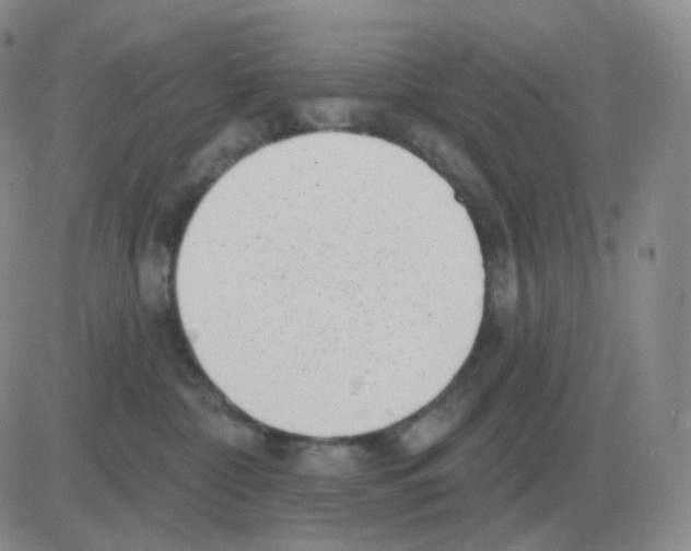 X0000082680332200702232144