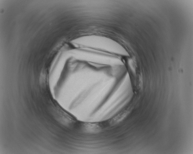 X0000082680333200702232144