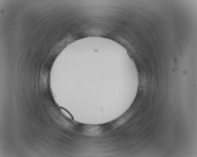 X0000082680334200702232144