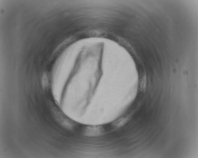 X0000082680335200702232144