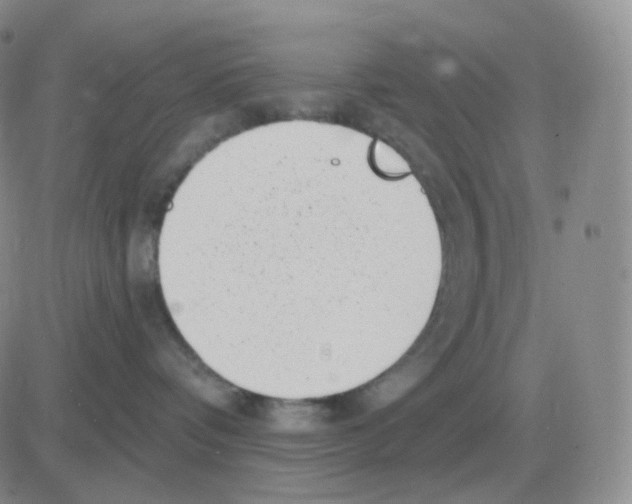 X0000082680336200702232144