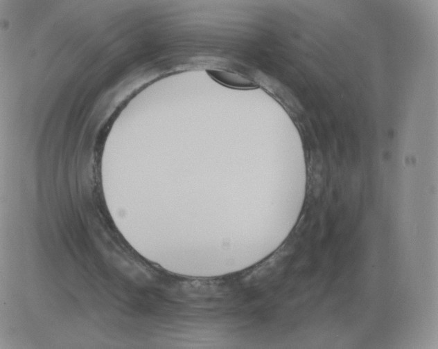 X0000082680338200702232143