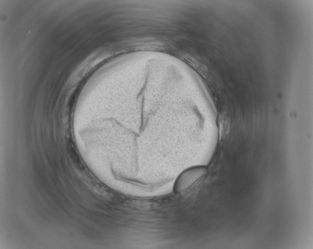 X0000082680339200702232143