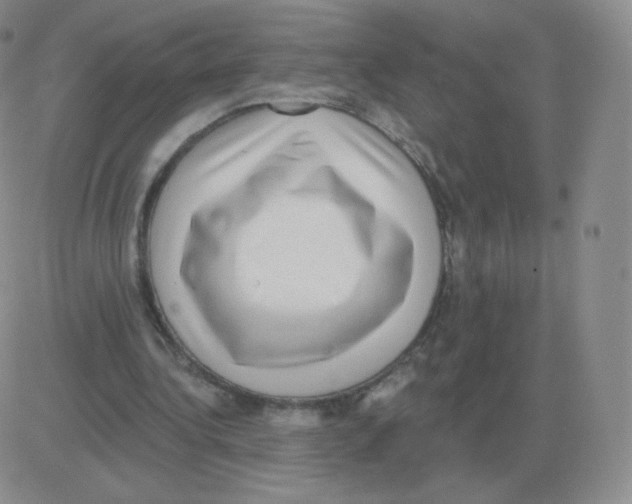 X0000082680340200702232143