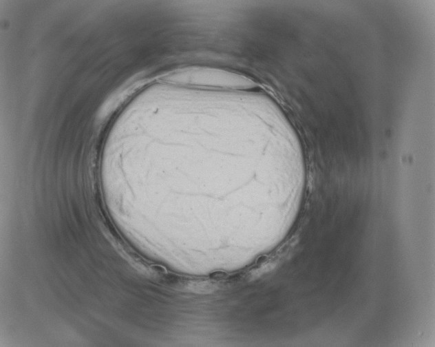 X0000082680341200702232143