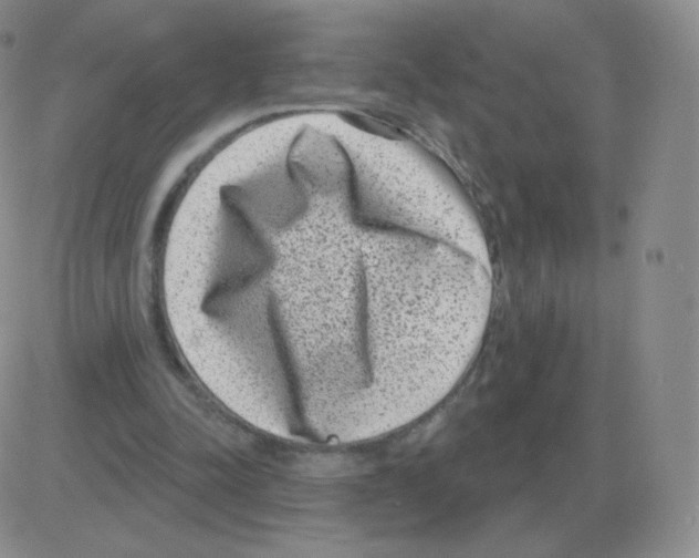 X0000082680342200702232143