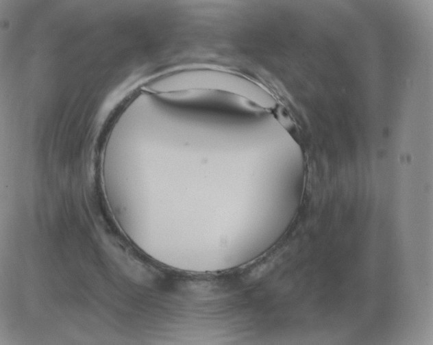 X0000082680344200702232144