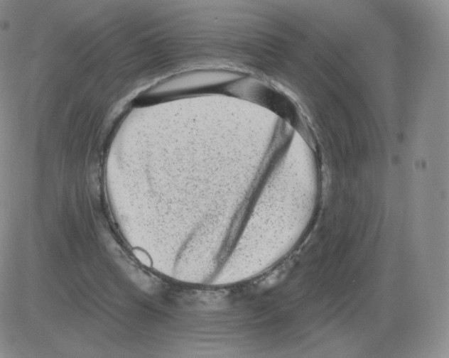 X0000082680345200702232144