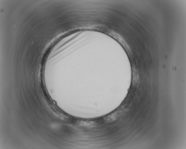 X0000082680346200702232144