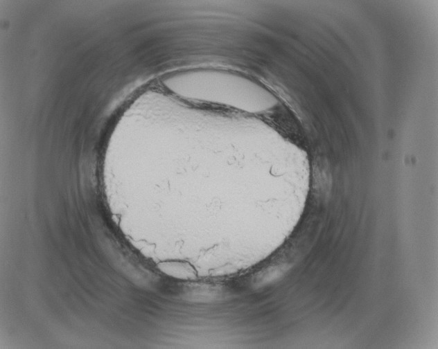 X0000082680347200702232144