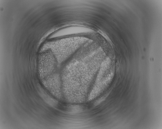 X0000082680349200702232144