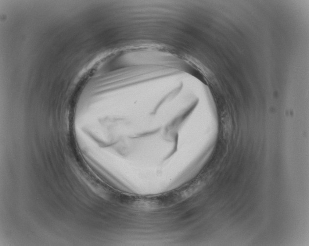 X0000082680350200702232144