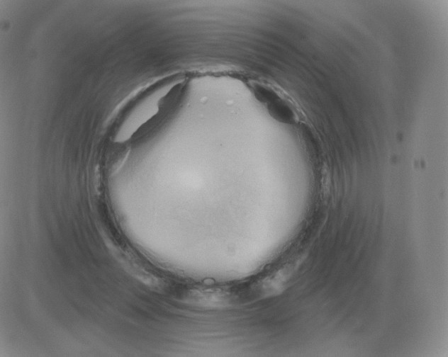 X0000082680351200702232144