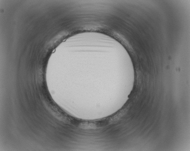 X0000082680354200702232144