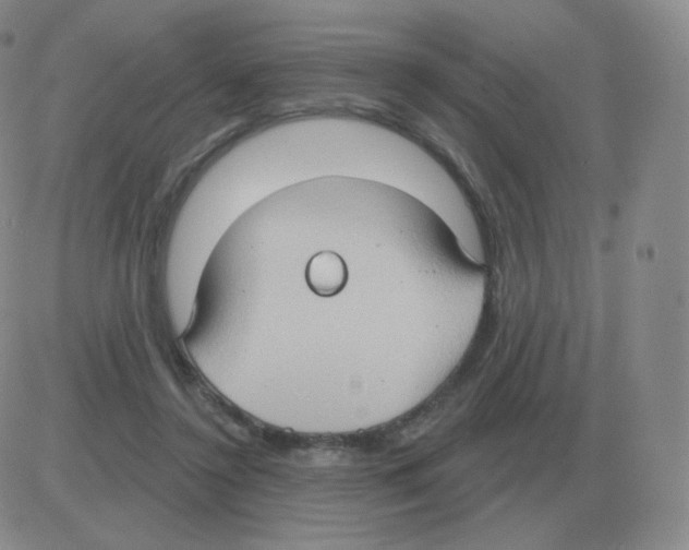 X0000082680356200702232144