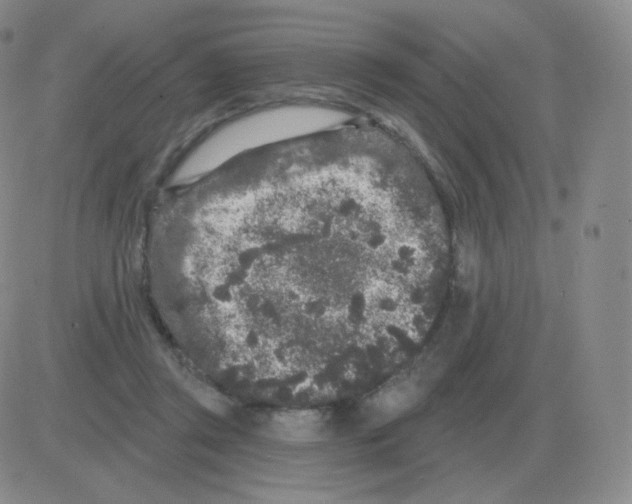 X0000082680357200702232144