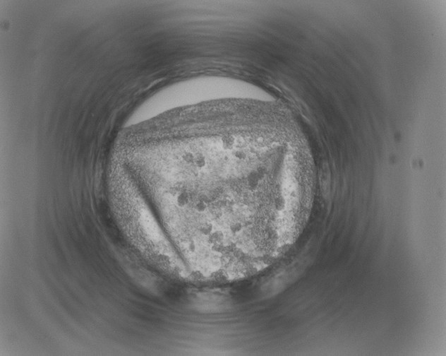 X0000082680359200702232144