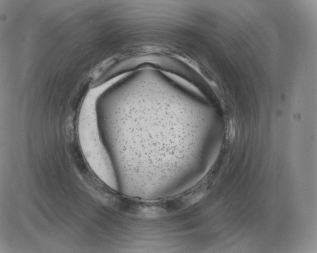 X0000082680360200702232144