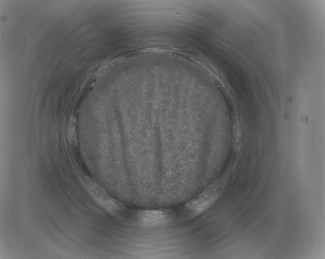 X0000082680361200702232144