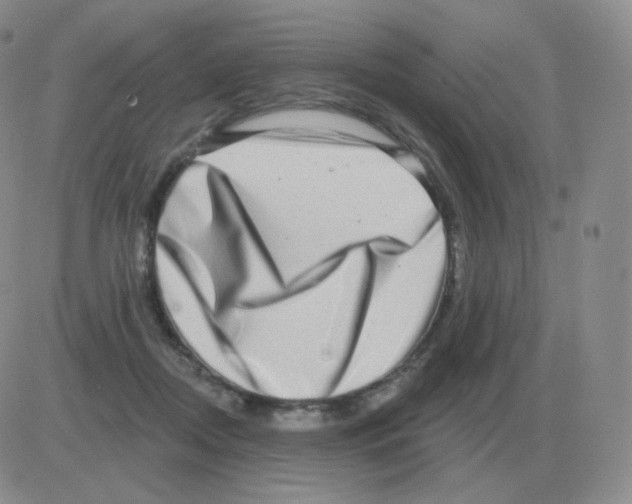 X0000082680362200702232144