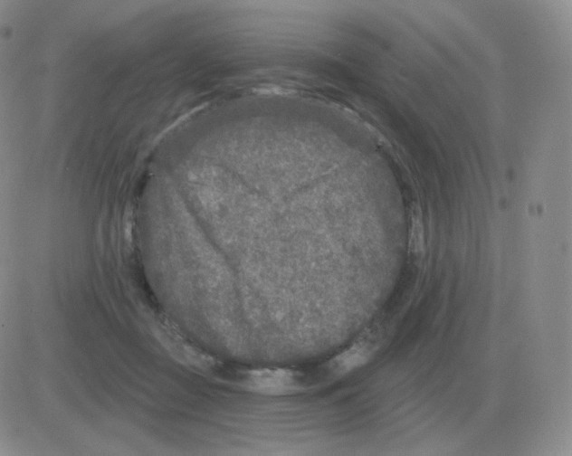 X0000082680363200702232144