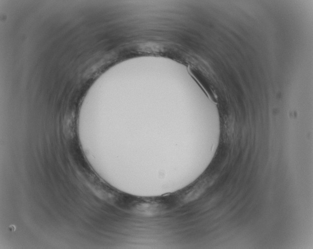 X0000082680364200702232144