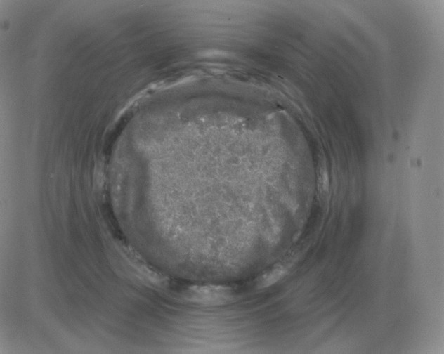 X0000082680367200702232144