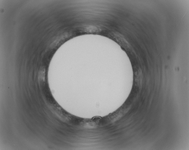 X0000082680368200702232144