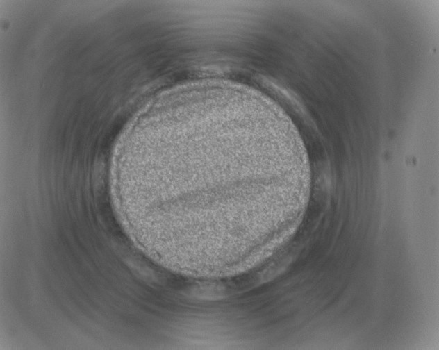 X0000082680369200702232144