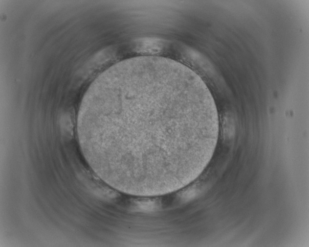 X0000082680370200702232144