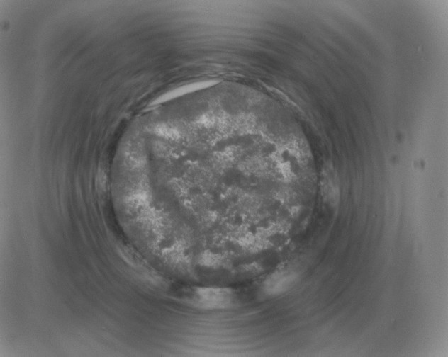 X0000082680371200702232144