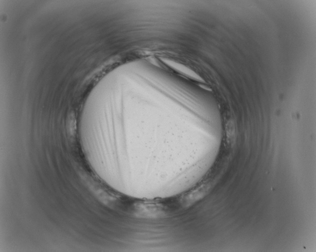 X0000082680372200702232144